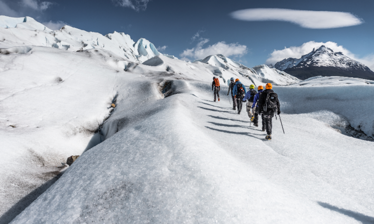 Ice Hike Grey Glacier